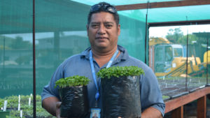 Part time grower, Tere Albert, holds up pawpaw seedlings at the Ministry of Agriculture’s nursery. Picture: CALEB FORTHERINGHAM/22091211